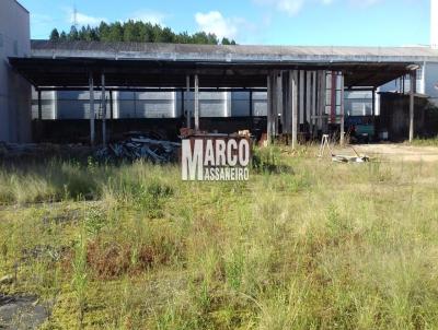 Terreno para Venda, em So Jos, bairro PICADAS DO SUL