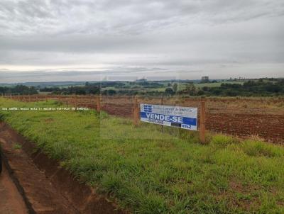 Stio para Venda, em Batatais, bairro RURAL