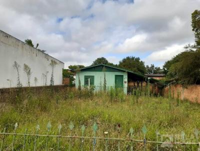 Terreno para Venda, em Osrio, bairro Centro