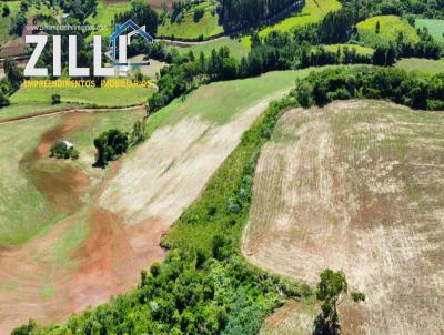 rea Rural para Venda, em Jupi, bairro Interior