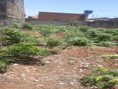 Terreno para Venda, em Fazenda Rio Grande, bairro SUZUKI