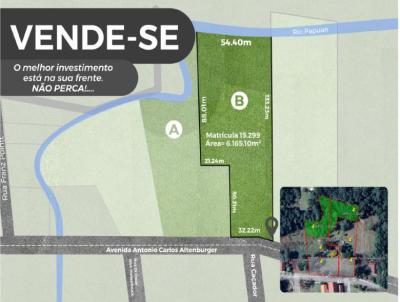 Terreno Urbano para Venda, em Treze Tlias, bairro Centro