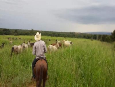 Fazenda para Venda, em Augusto de Lima, bairro 