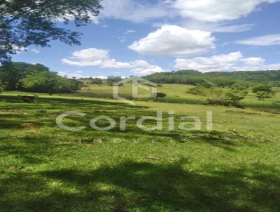 rea Rural para Venda, em Porto Xavier, bairro Vila Santinho