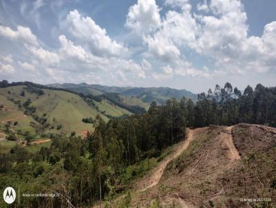 Terreno para Venda, em Camanducaia, bairro Quilombo