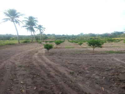 Stio para Venda, em Salgado, bairro Zona Rural, 3 dormitrios, 1 banheiro, 3 vagas