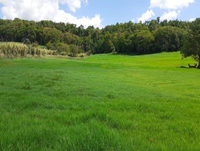 rea Rural para Venda, em Toledo, bairro Dez de Maio, 3 dormitrios, 1 banheiro