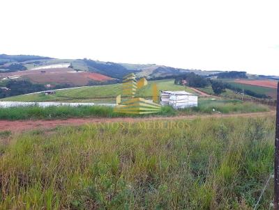 Terreno Rural para Venda, em Esprito Santo do Dourado, bairro Ponte Alto