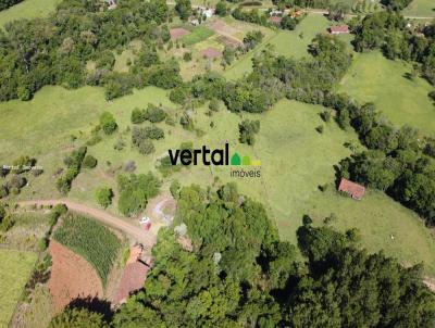 rea Rural para Venda, em Porto Vera Cruz, bairro Interior - Rural - pecuria - agricultura - bovino - reflorestamento - lavoura