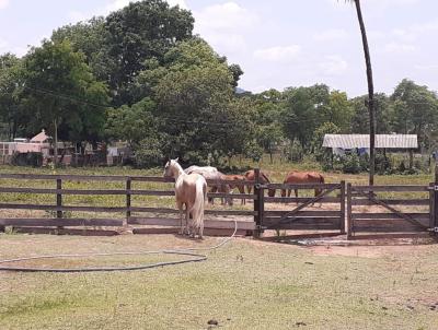 Haras para Venda, em Vrzea Grande, bairro Praia Grande