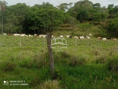 Fazenda para Venda, em Montes Claros, bairro ZONA RURAL