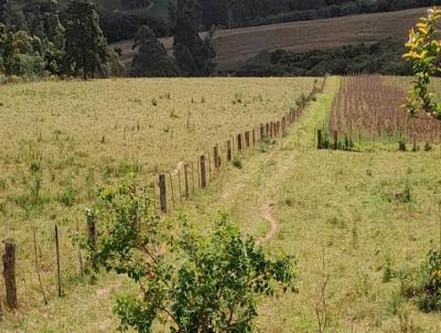 Fazenda para Venda, em Mariana Pimentel, bairro RS