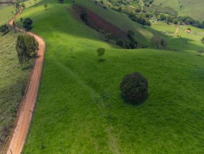 Fazenda para Venda, em Soledade de Minas, bairro rural, 4 dormitrios, 2 banheiros