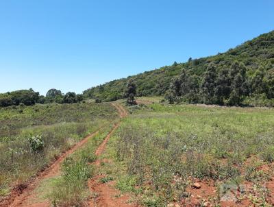 rea Rural para Venda, em Cara, bairro Linha Padre Vieira