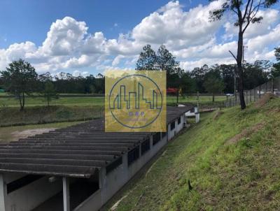 Galpo para Venda, em Jacare, bairro Veraneio Ijal