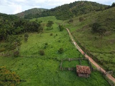 Fazenda para Venda, em Tefilo Otoni, bairro Zona Rural