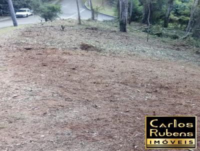 Terreno para Venda, em Domingos Martins, bairro 