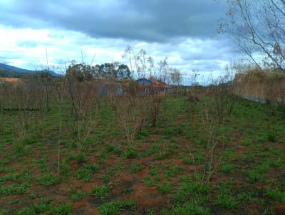 Chcara para Venda, em Pouso Alegre, bairro RURAL