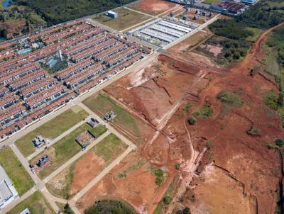 Terreno para Venda, em Cachoeirinha, bairro Distrito Industrial