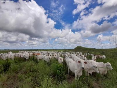 Fazenda para Venda, em Pedro do Rosrio, bairro .