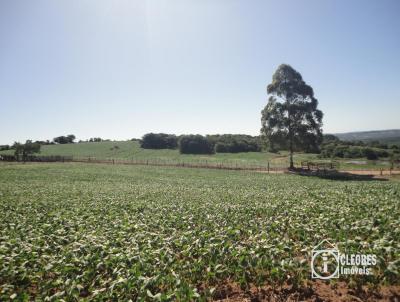 Stio / Chcara para Venda, em Encruzilhada do Sul, bairro Interior