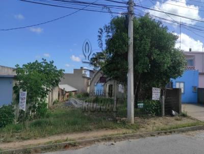 Terreno para Venda, em Canguu, bairro Vila Nova