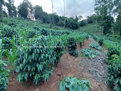 Stio para Venda, em Muzambinho, bairro 12 km de Muzambinho, 1 dormitrio, 1 banheiro