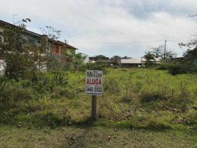 Terreno para Locao, em Guaratuba, bairro Nereidas