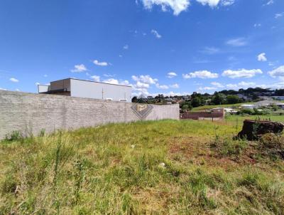 Terreno Residencial para Venda, em Carazinho, bairro Bairro Winckler