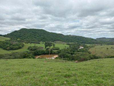 Terreno Rural para Venda, em So Francisco de Paula, bairro ZONA RURAL