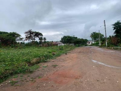 Terreno para Venda, em Crato, bairro Grangeiro