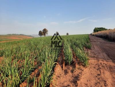 Fazenda para Venda, em Lins, bairro Centro