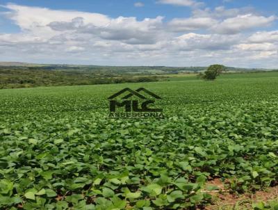 Fazenda para Venda, em Capo Bonito, bairro Vila Nova Capo Bonito