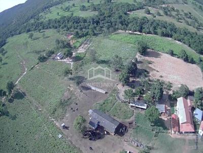 Fazenda para Venda, em Buritis, bairro ZONA RURAL