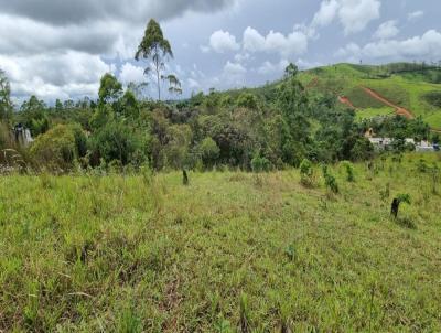 Terreno para Venda, em Suzano, bairro Jardim dos Eucaliptos