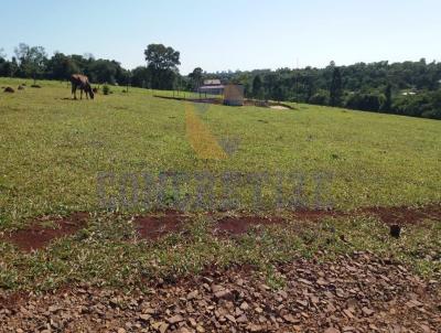 Chcara para Venda, em Campo Mouro, bairro rea Rural