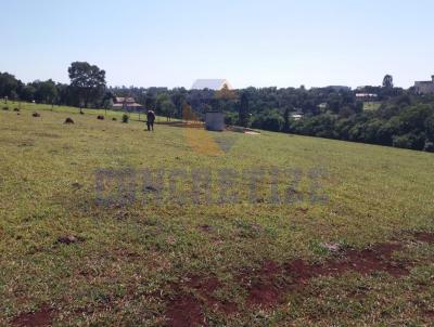 Chcara para Venda, em Campo Mouro, bairro rea Rural