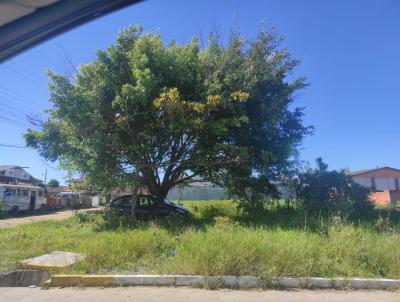 Terreno para Venda, em So Francisco do Sul, bairro Majorca