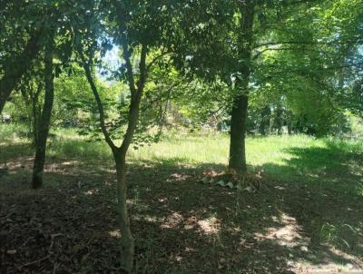 Casa em Condomnio para Venda, em , bairro Parque dos Anjos., 3 dormitrios, 2 banheiros, 1 sute, 3 vagas