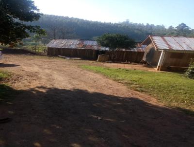 Chcara para Venda, em Paverama, bairro Boa Esperana Baixa, 2 dormitrios, 1 banheiro
