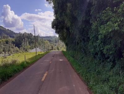 Chcara para Venda, em Teutnia, bairro Linha Boa Vista