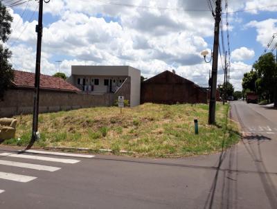 Terreno para Venda, em Umuarama, bairro Zona VI