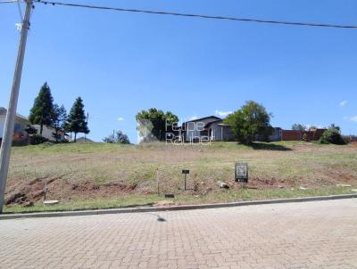 Terreno para Venda, em Santa Cruz do Sul, bairro Linha Santa Cruz