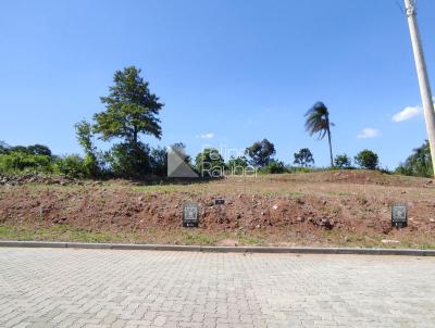 Terreno para Venda, em Santa Cruz do Sul, bairro Linha Santa Cruz