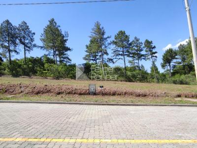 Terreno para Venda, em Santa Cruz do Sul, bairro Linha Santa Cruz