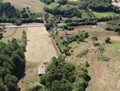 rea Comercial para Venda, em Almirante Tamandar do Sul, bairro 