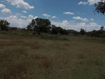 Terreno para Venda, em Santana do Livramento, bairro Carolina