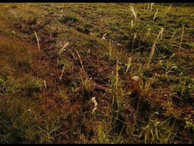 Terreno para Venda, em Lins, bairro Ribeiro