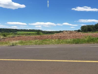 Terreno para Venda, em So Jos do Cedro, bairro Loteamento Alta Colina