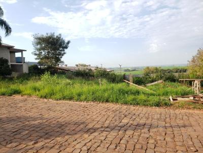 Terreno para Venda, em Espumoso, bairro Brasil